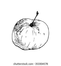Vector sketch Apple for your design
