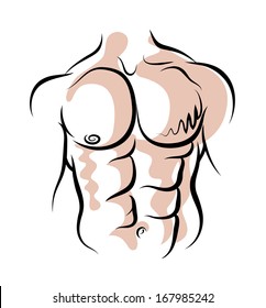 Vector sketch of athletic torso of the man.
