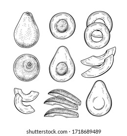 Conjunto decorativo Vector Sketch aguacate. Ilustraciones Botánicas Dibujadas A Mano. Blanco y negro con arte lineal aislado en fondo blanco. Dibujos de frutas. Elementos de estilo retro.
