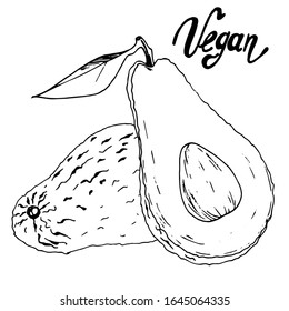 Vektorillustration-Skizze mit Avocado in grafischem Stil. Perfekt für die Gestaltung und Dekoration von gesunden Speisen.