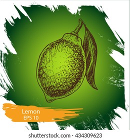 Vector sketch background fruit.
Citrus