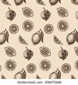 Vector sketch background fruit.
Citrus - bergamot, lemon, orange, lime, tangerine, tangelo, grapefruit.