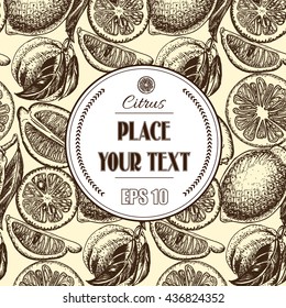 Vector sketch background fruit.
Citrus - bergamot, lemon, orange, lime, tangerine, tangelo, grapefruit.
