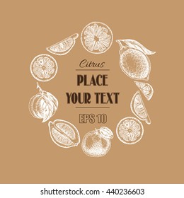 Vector sketch background fruit.
Citrus - bergamot, lemon, orange, lime, tangerine, tangelo, grapefruit.