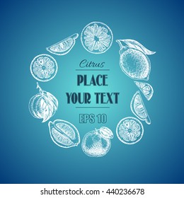 Vector sketch background fruit.
Citrus - bergamot, lemon, orange, lime, tangerine, tangelo, grapefruit.