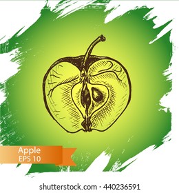 Vector sketch background fruit.
Illustration apple