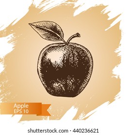 Vector sketch background fruit.
Illustration apple