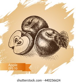 Vector sketch background fruit.
Illustration apple