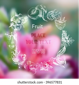 Vector sketch background fruit. Raspberry, peach, apricot, orange, citrus, lemon, pear, blueberry, berry, currant, gooseberry, pomegranate.