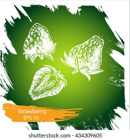Vector sketch background fruit.
strawberry