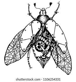 Vector sketch of a beetle mechanical. Hand drawn black and white decorative design illustration bug. Sketch for tattoo, poster, print or t-shirt. Doodle, zentangle style.