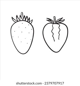 vector sketch of berry strawberry, hand drawn drawing, contour graphics