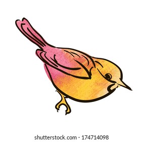 Vector sketch of bird, watercolor