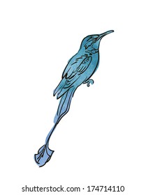 Vector sketch of bird, watercolor