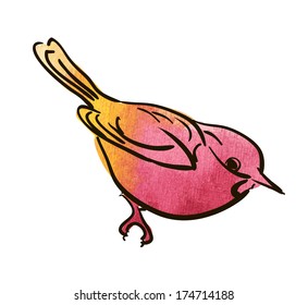 Vector sketch of bird, watercolor