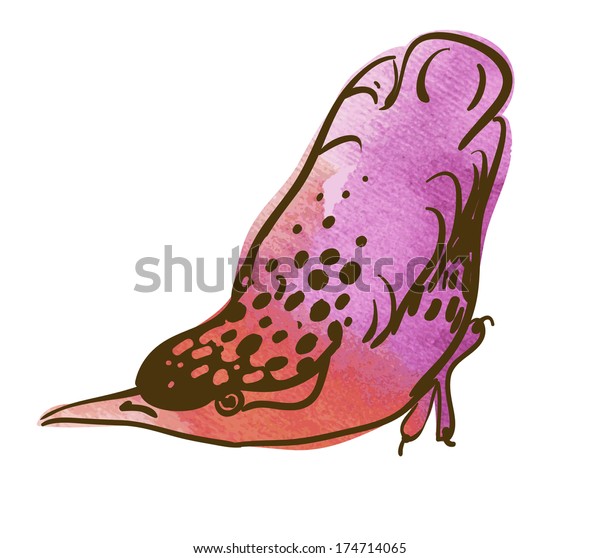 Vector sketch of bird,\
watercolor