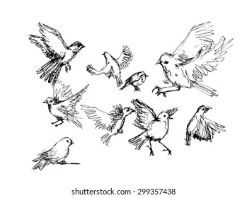 279,125 Bird sketch Images, Stock Photos & Vectors | Shutterstock