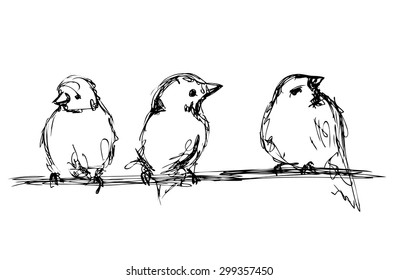 Vector sketch of birds
