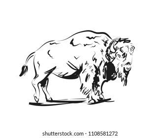 Vector sketch of a bison