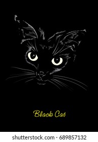 Vector sketch. Black cute kitty on a black background.