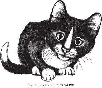 Vector sketch of a black and white cat crouching with a curious expression on its face. 