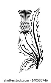 Thistle Drawing High Res Stock Images Shutterstock