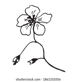 Vector sketch black and white flower. Hand drawn graphic flower on white background. 