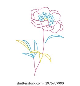 Vector sketch of blooming flower. Graphic design from colored lines.