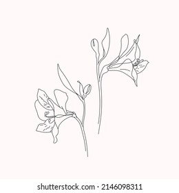 Vector sketch of blooming flowers. Isolated on white background. Printable minimalist print. Detailed hand drawn vector illustration.