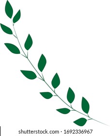 Vector sketch of a branch with green leaves.