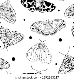 Vector sketch butterfly, moth. Seamless pattern. Hand drawn illustration. Black and white background. Night-fly.