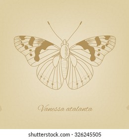 .  Vector sketch of a butterfly on the background of the texture old paper. Vector old paper texture. Pencil sketches silhouette butterfly