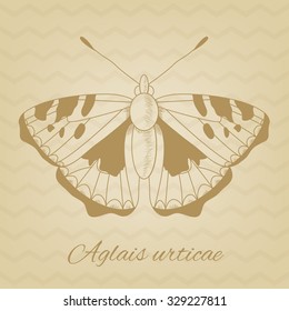  Vector sketch of a butterfly on the background of the texture old paper. Vector old paper texture. Pencil sketches silhouette butterfly