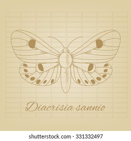  Vector sketch of a butterfly on the background of the texture old paper. Vector old paper texture. Pencil sketches silhouette butterfly