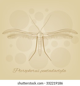  Vector sketch of a butterfly on the background of the texture old paper. Vector old paper texture. Pencil sketches silhouette butterfly