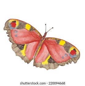 vector sketch of a butterfly on a white background