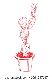 Vector sketch of a cactus. Large cactus in flowerpots - vector illustration.