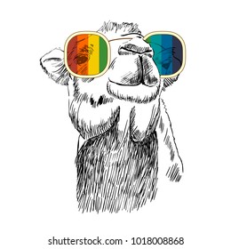 Vector sketch of camel with glasses. Retro illustration