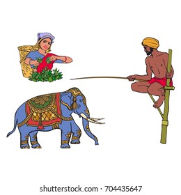 vector sketch cartoon local indian man in handscarf pagri or turban fishing at wooden stilt pillar, woman picking tea leaves, decorated elephant. Traditionally dressed characters, hand drawn symbols