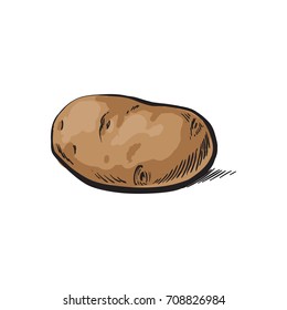 vector sketch cartoon ripe raw unpeeled yellow potato. Isolated illustration on a white background. Vegetable fresh natural product, healthy lifestyle, eating concept