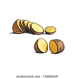 vector sketch cartoon ripe raw unpeeled sliced yellow potato with slices .Isolated illustration on a white background. Vegetable fresh natural product, healthy lifestyle, eating concept