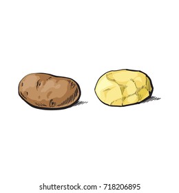 vector sketch cartoon ripe raw unpeeled and peeled yellow potato set. Isolated illustration on a white background. Vegetable fresh natural product, healthy lifestyle, eating concept