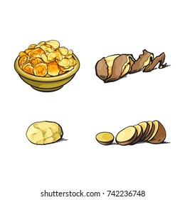 vector sketch cartoon ripe raw peeled yellow potato with spiral twisted peel, sliced potato and plate with chips set . Isolated illustration on a white background.