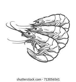 vector sketch cartoon sea crayfish lobster. Isolated illustration on a white background. Sea delicacy food concept