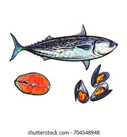 vector sketch cartoon sea fish tuna, salmon red fish fillet, mussels set. Isolated illustration on a white background. Sea delicacy food concept