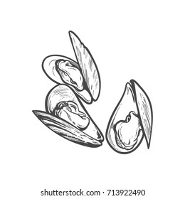 vector sketch cartoon sea mussel, oyster. Isolated illustration on a white background. Sea delicacy food concept