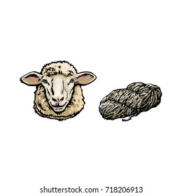 vector sketch cartoon style sheep head and cutted lamb wool set. Isolated illustration on a white background. Hand drawn animal with big twisted horns. Cattle farm cloven-hoofed livestock animal