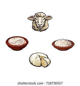 vector sketch cartoon style, sheep head cottage cheese plate, sour cream set. Isolated illustration on a white background. Hand drawn femrented milk product design objects