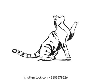 Vector sketch of cat