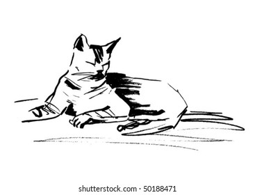 Vector sketch a cat